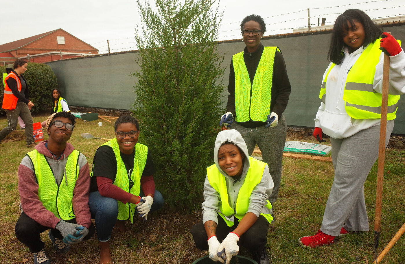 Tree planting